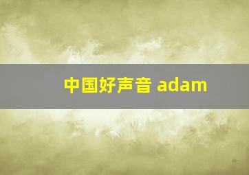 中国好声音 adam